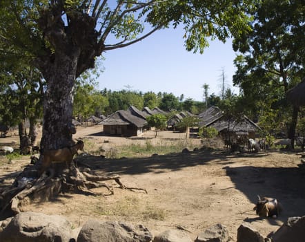 Traditional village in Lombok, Indonesia