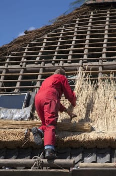 Workman thatching a new roof