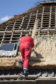 Workman thatching a new roof