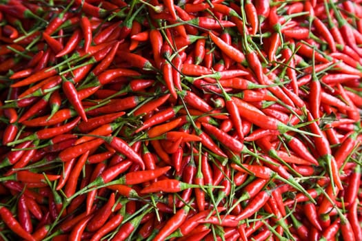Red peppers on the market in Glodok,Jakarta, Indonesia