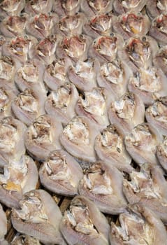 Dried fish on the fish market in Jakarta, Indonesia