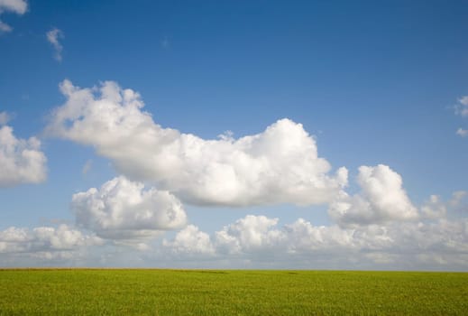 Green field with a cloudscape in Friesland, the Netherlands