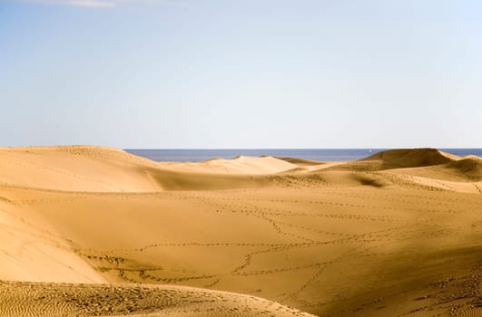 Sand dunes of Maspalomas in Gran Canaria, Spain