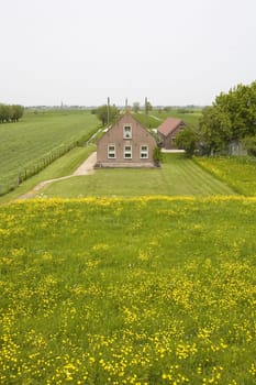 Traditional Dutch farm house alongside the dike of the river Lek