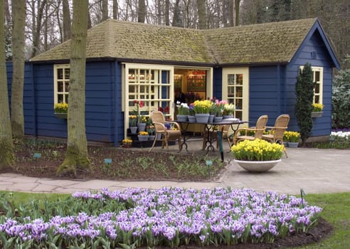 Dutch flower shop