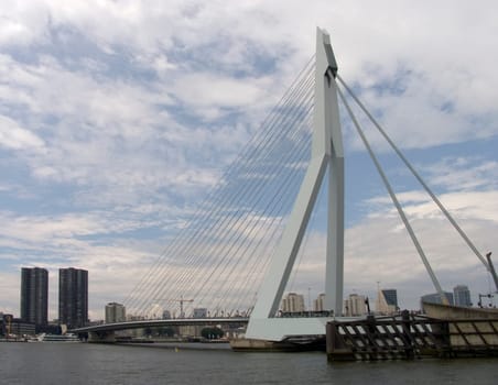 Erasmus bridge in Rotterdam, Holland