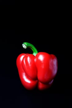 Still life of a red pepper