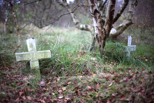 Old fisherman's graveyard at the Island Schiermonnikoog, Holland