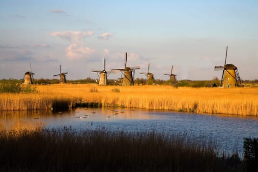 Dutch windmills in Kinderdijk, the Netherlands