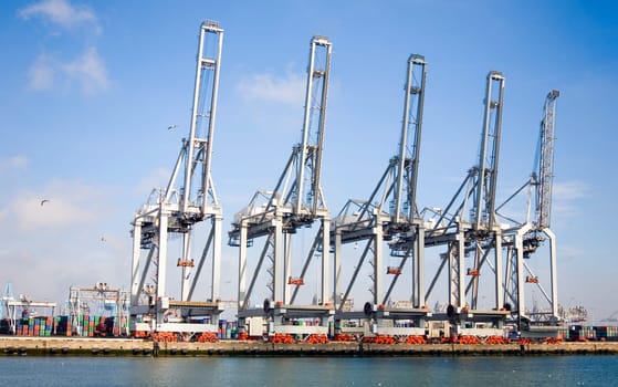 Harbor cranes at the Port of Rotterdam