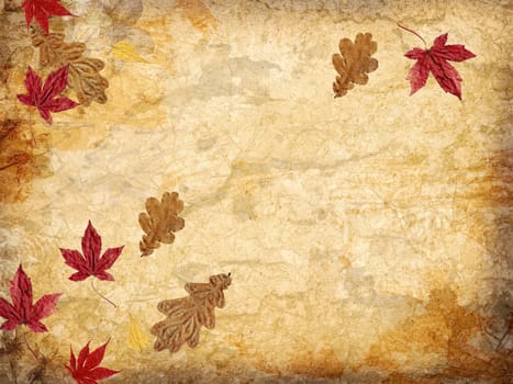 Autumn