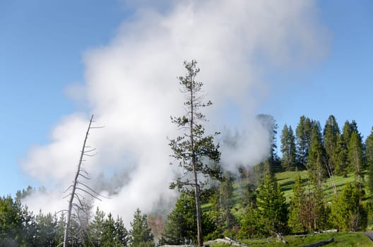 Geyser in Yellowstone National Park in Wyoming