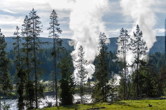 Geyser in Yellowstone National Park in Wyoming