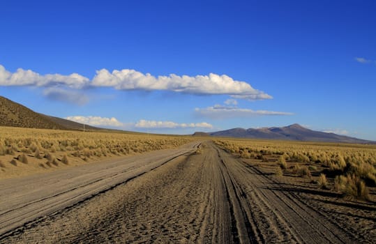 Parque Nacional Sajama