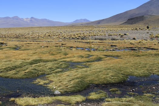 Eduardo Alveroa, Uyuni Bolivia