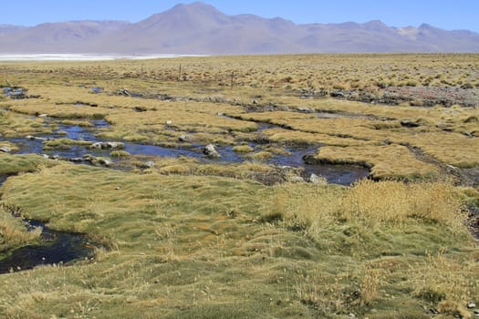 Eduardo Alveroa, Uyuni Bolivia