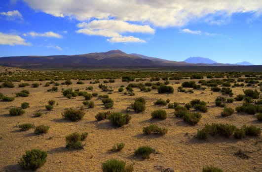 Eduardo Alveroa, Uyuni Bolivia