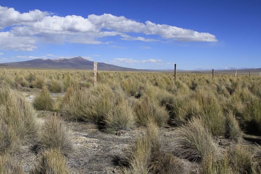 Parque Nacional Sajama