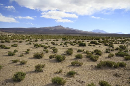 Eduardo Alveroa, Uyuni Bolivia