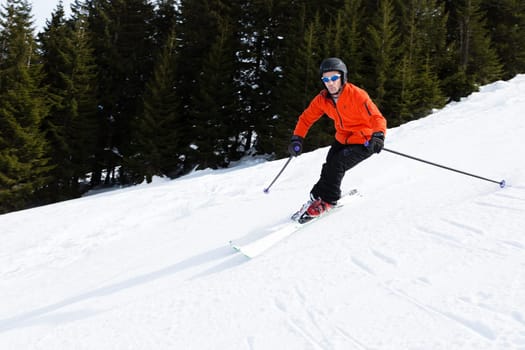 Carvender skiers