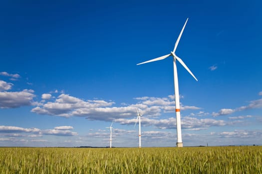 Windmills in a field of rye with blue sky with clouds