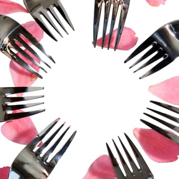 forks in a circle with rose petals for a concept on romantic dining on white background with copy space in the middle