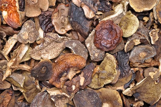 Dried mushrooms as a background