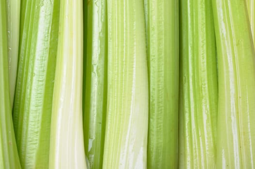 Celery as a background. Healthy food