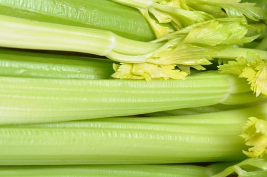 Celery as a background. Healthy food