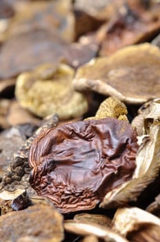 Dried mushrooms as a background