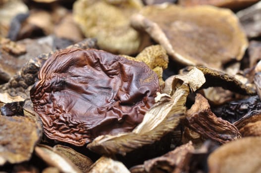 Dried mushrooms as a background
