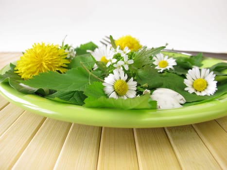Salad with wild herbs
