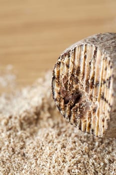 Macro shot of a nutmeg and powder on a wooden background