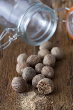 Numerous nutmegs lie in front of an empty spice jar on a rustic wooden surface