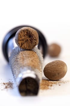 Nutmeg lies on a nutmeg grater on a white background