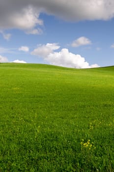 meadows in the hills of Tuscany