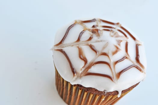 Spider Cupcakes