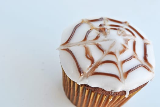 Spider Cupcakes