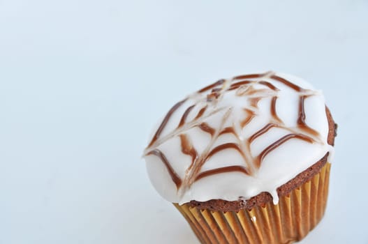 Spider Cupcakes