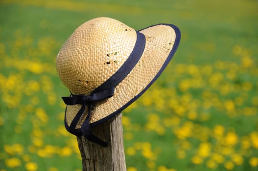 Summer hat