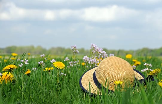 Summer hat