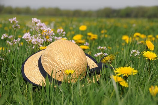 Summer hat