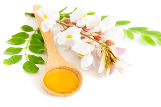 Honey in spoon with acacia flower on white background