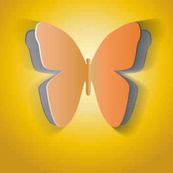 Butterfly Illustration