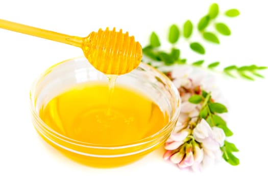 Pouring honey and acacia flower on white background