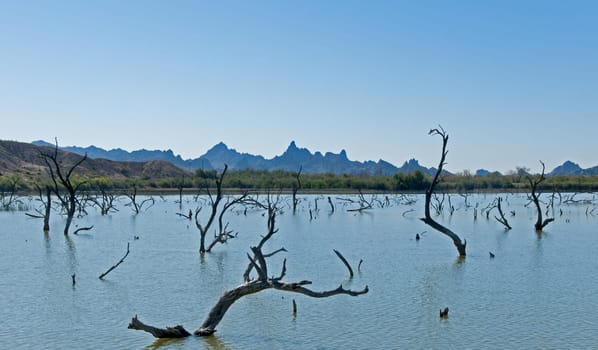 Lake Havasu