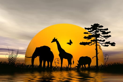 wild animals
