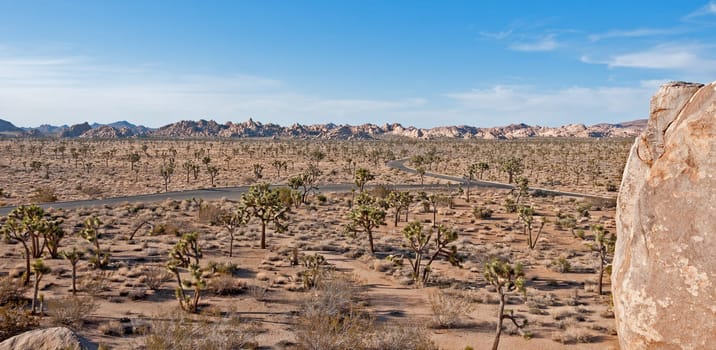 Joshua Tree National Park