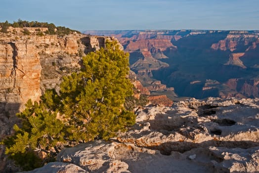 Grand Canyon in the evening light
