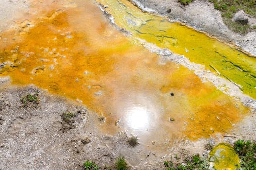 Geyser Basin in Yellowstone National Park in Wyoming